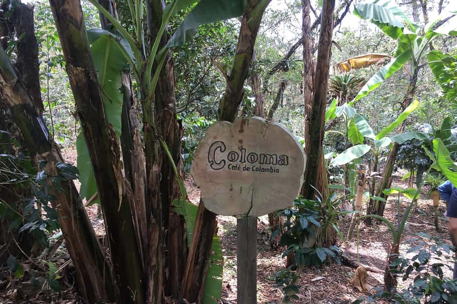 From Bogotá: Coffee Farm Experience Private Day Tour - Key reasons to consider this coffee day trip