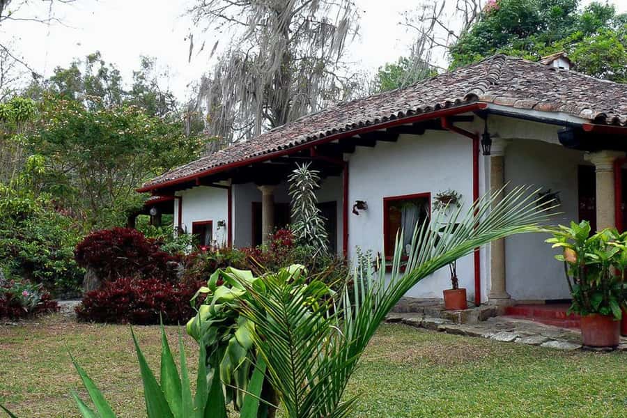 From Bogotá: Coffee Farm Experience Private Day Tour - Walking through Hacienda Coloma’s coffee estate