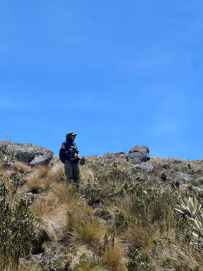 From Bogota: Explore Colombia's Andean Peatlands - Key points to know before you book
