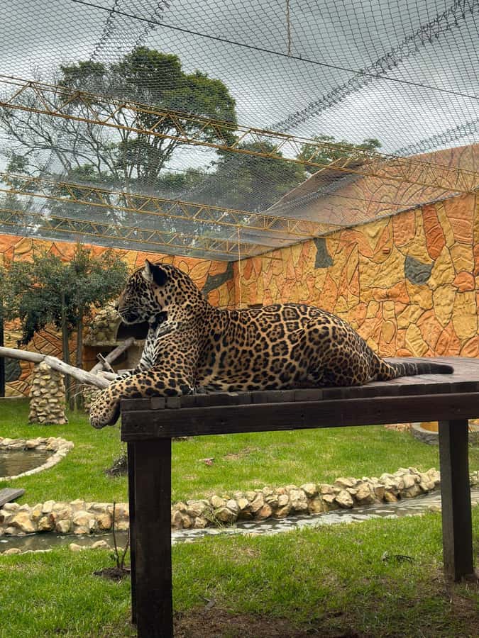 From Bogota: Jaime Duque Park and zoo with ticket included - Key points to know before you go