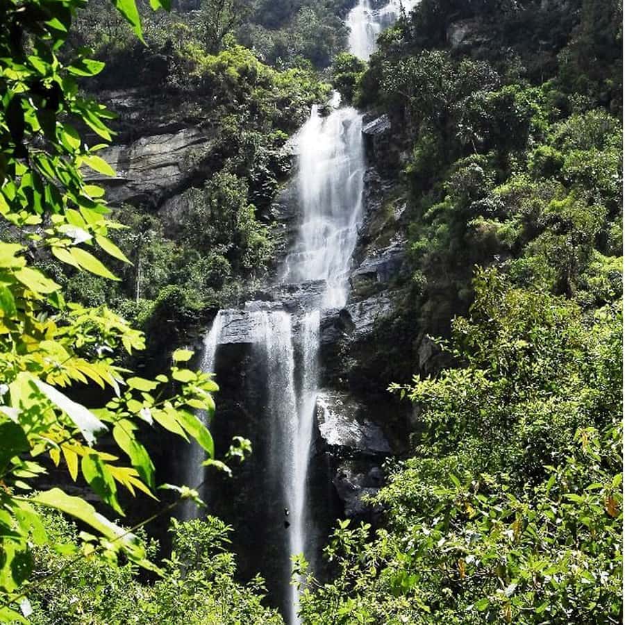 From Bogota: La Chorrera Waterfall Guided Hike - Walking through La Chorrera Park