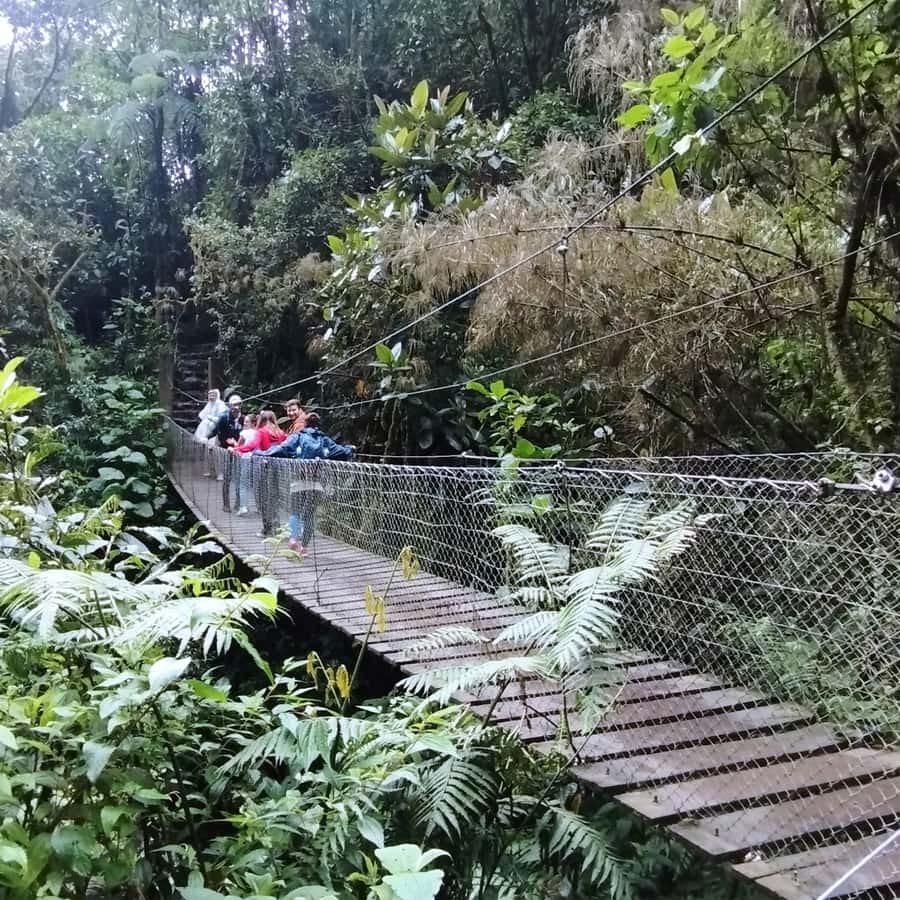 From Bogota: La Chorrera Waterfall Guided Hike - Views over the Choachí Valley