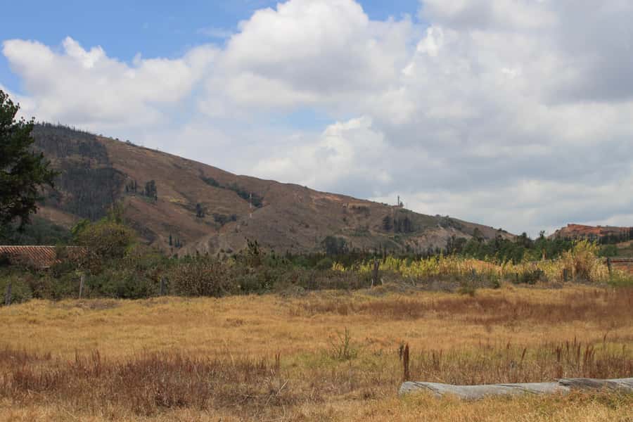 From Bogotá: Private Tour to Villa de Leyva - Why this day trip works despite the long road