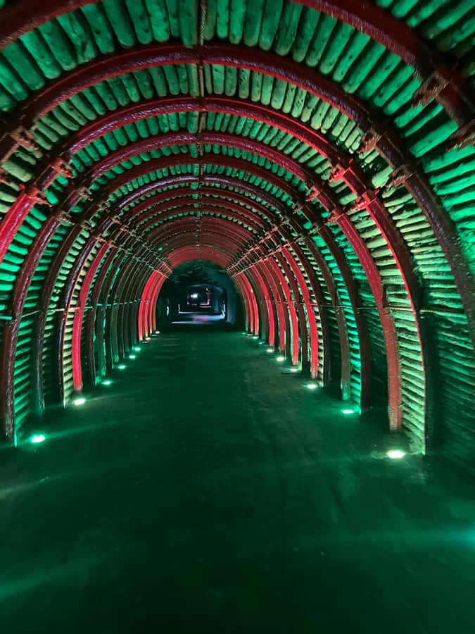 FROM BOGOTA: Salt Cathedral and Andrés Carne de Res (Chía) Tour - The day at a glance