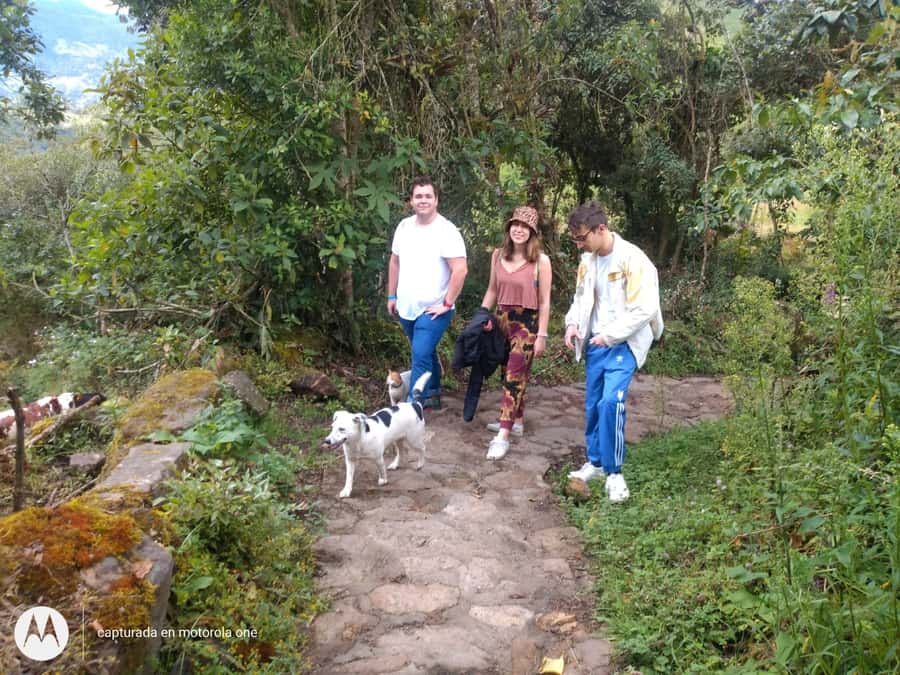 From Bogotá: Tour to the Waterfall of La Chorrera - Why La Chorrera makes a strong day trip from Bogotá