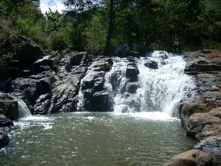 From Bogotá: Tour to the Waterfall of La Chorrera - Stone paths lead into the fog forest