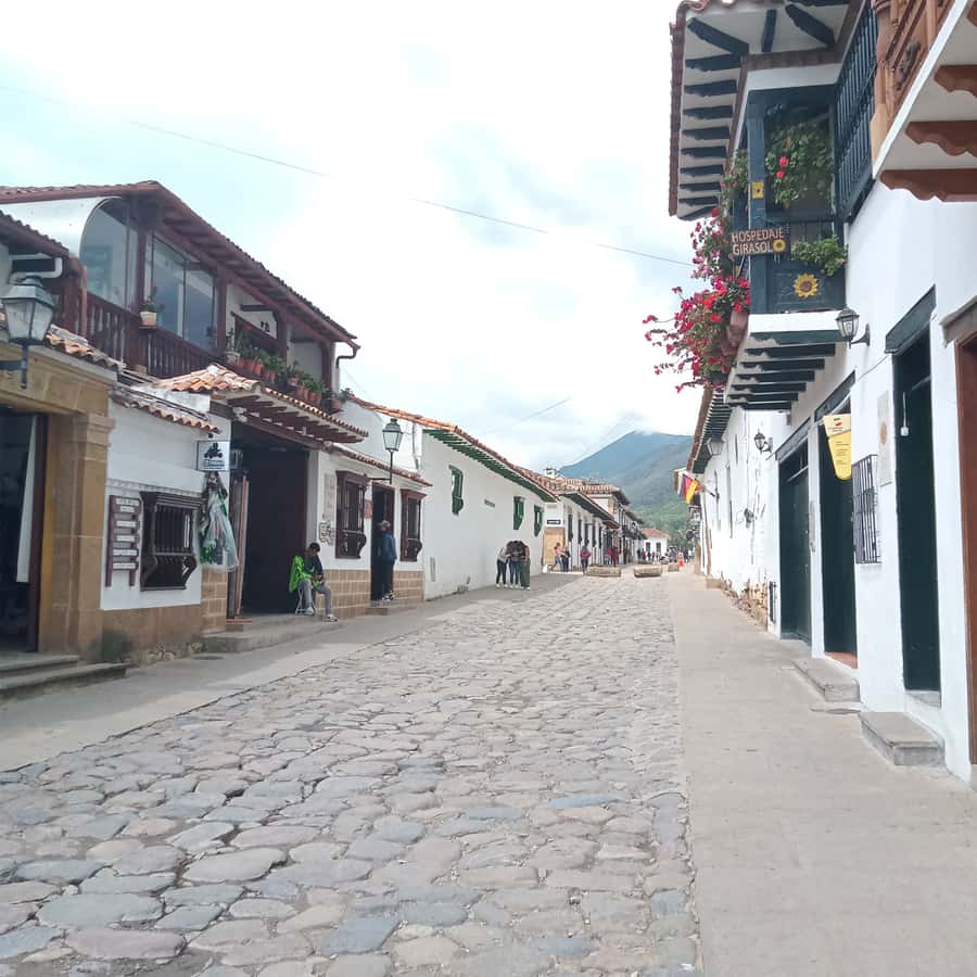 From Bogota: Villa de Leyva Day Magic Town Tour - Casa Terracota: art with a practical question