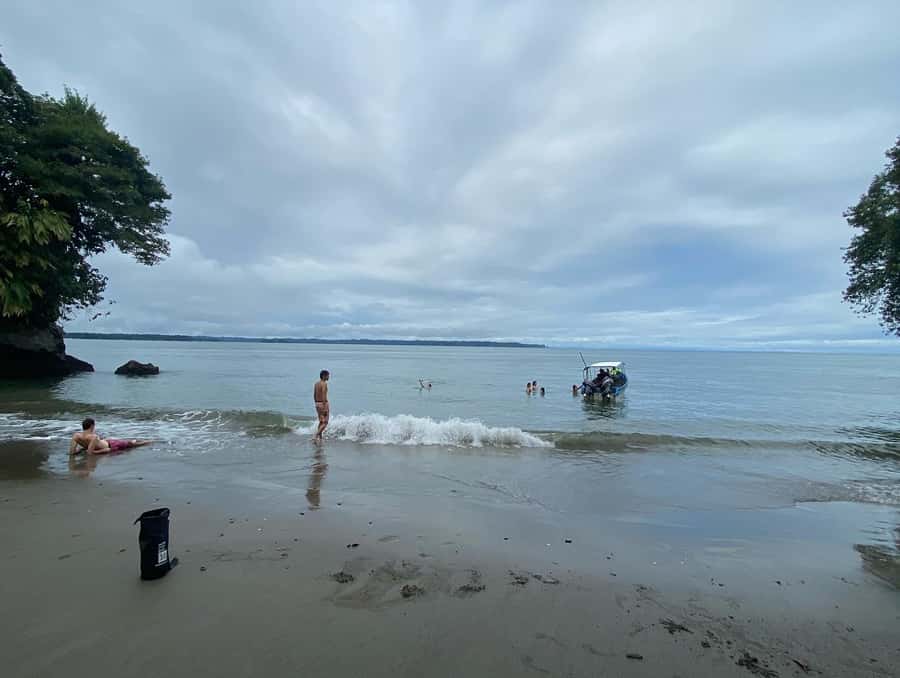 From Cali: Whale Watching Day Trip in Buenaventura - Key points to know before you go