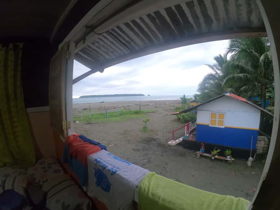 From Cali: Whale Watching Day Trip in Buenaventura - Watching humpback whales in the Pacific