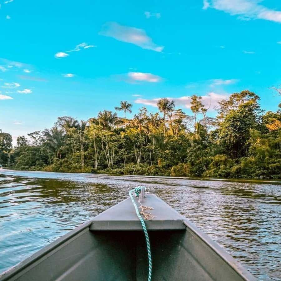 From Leticia: Wild Amazonas Adventure 4-Day Tour - Day three: Cacao Island, sloths, and dolphin waters