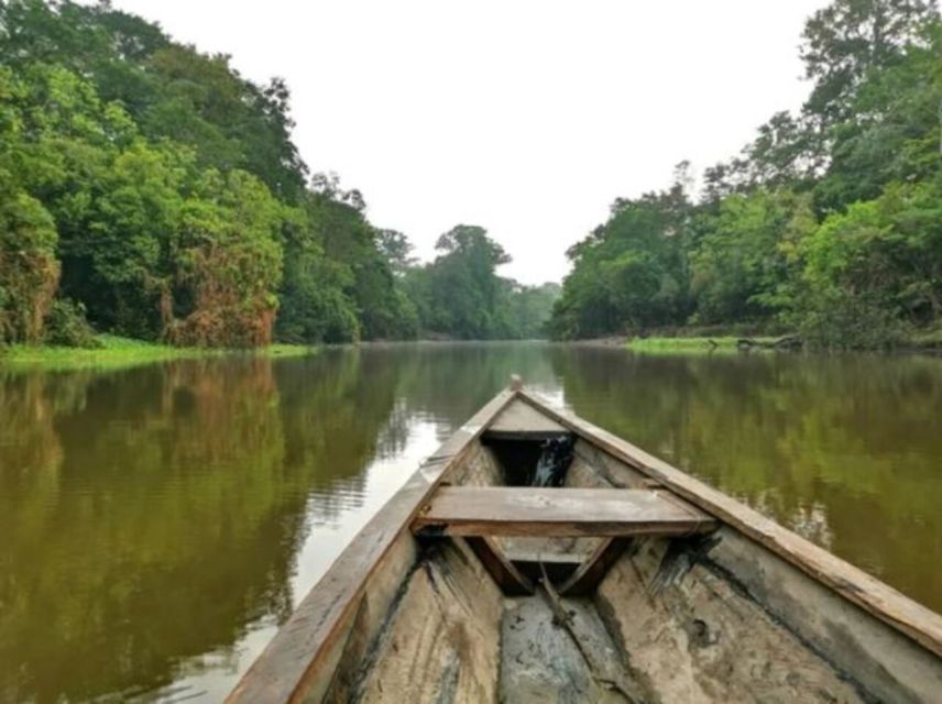 From Leticia: Wild Amazonas Adventure 4-Day Tour - Comfort, electricity, and daily demands