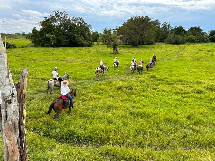 From Medellin; (All-In) The Real Horseback Ranch Experience - The real ranch details worth knowing