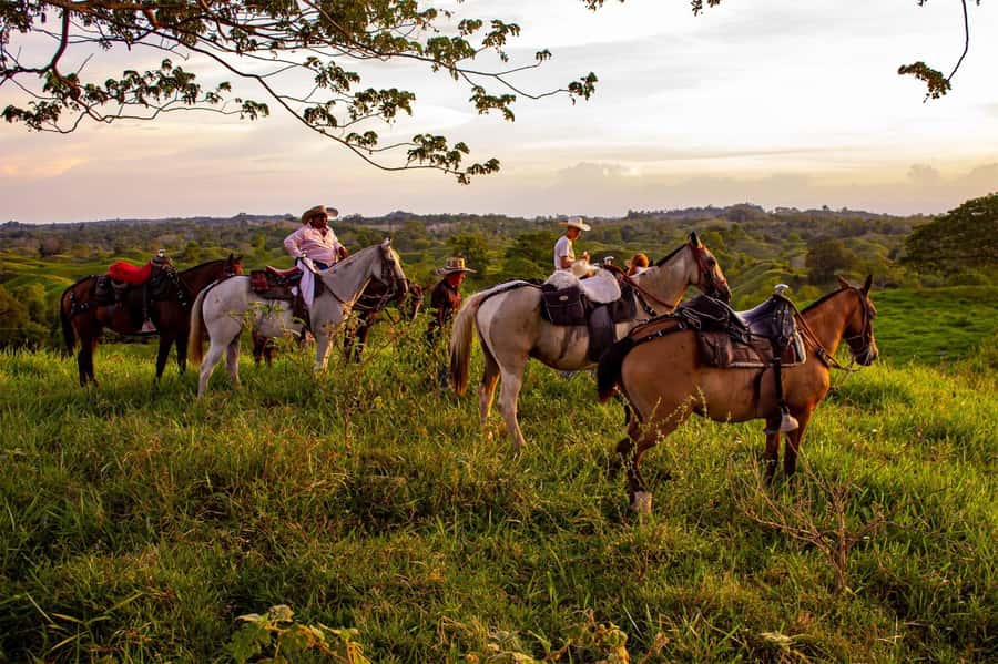 From Medellin; (All-In) The Real Horseback Ranch Experience - The 5:00 a.m. departure from El Poblado