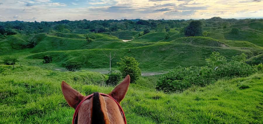 From Medellin; (All-In) The Real Horseback Ranch Experience - The first 2 hours and 15 minutes on horseback
