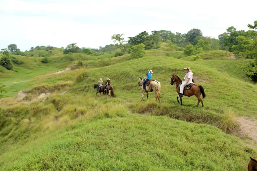 From Medellin; (All-In) The Real Horseback Ranch Experience - Hammocks, snacks, and a possible swim