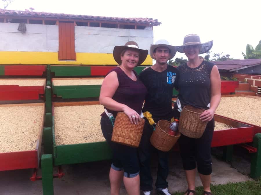 From Medellin: Day Trip to a Jardin Coffee Plantation - Should you book the Medellin to Jardín coffee tour?