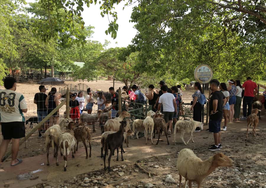 From Medellín: Day Trip to Hacienda Nápoles Theme Park - Key points to know before booking