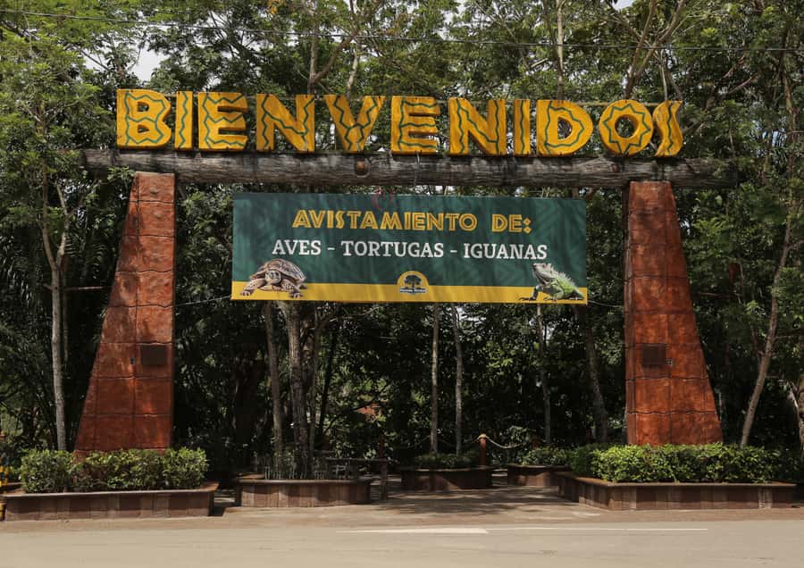 From Medellín: Day Trip to Hacienda Nápoles Theme Park - Jurassic Adventure Park and the animal areas