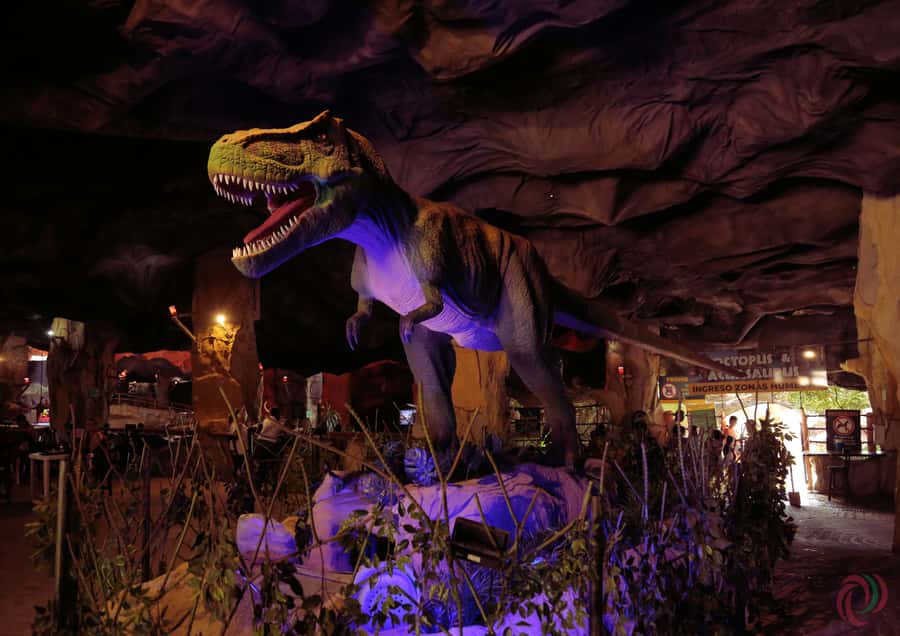 From Medellín: Day Trip to Hacienda Nápoles Theme Park - Hippo Park, the African Museum, and Kamaria
