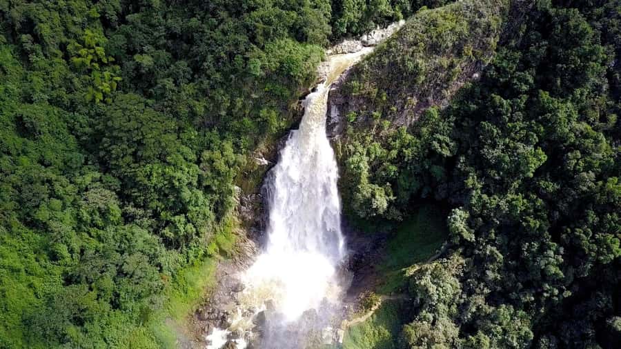 From Medellín: Dream Hammocks, Zipline, & Waterfall Day Trip - What the $205 price really covers