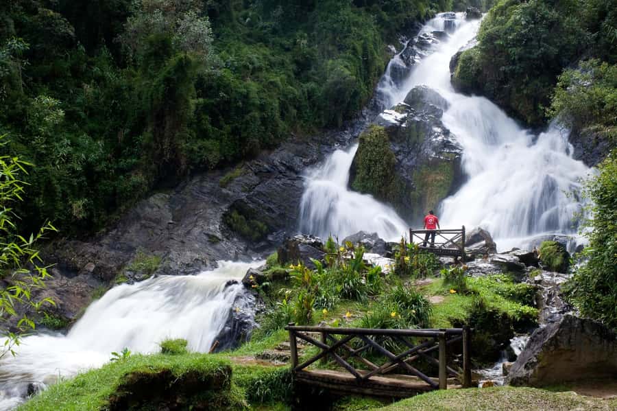 From Medellín: El Retiro Private Tour with Food Tastings - Key points to know before you book
