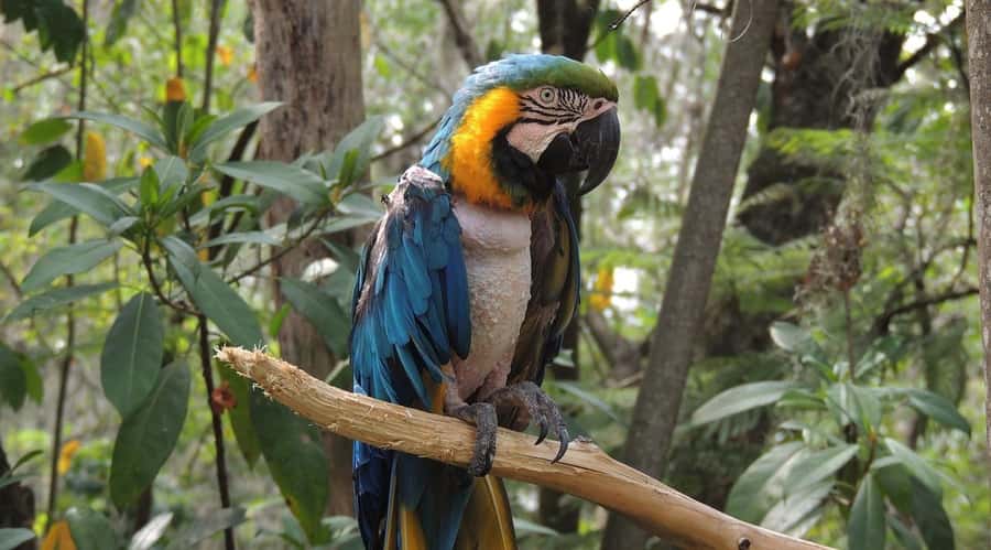 From Medellín: Jardín Private 2-Day Tour with Activities - Why Jardín makes a good Medellín escape