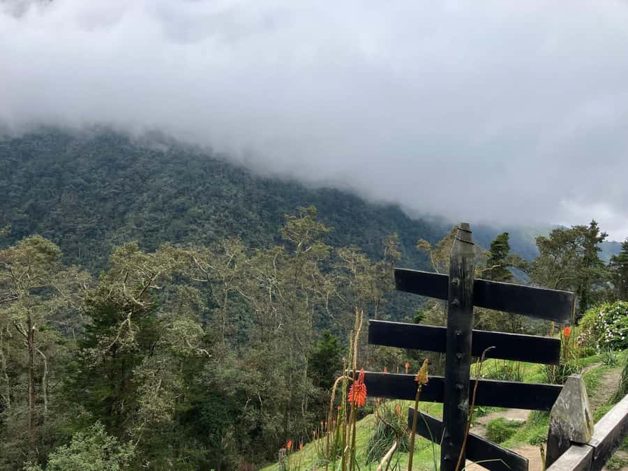 From Medellín: Jardín Private 2-Day Tour with Activities - Packing and planning details that matter