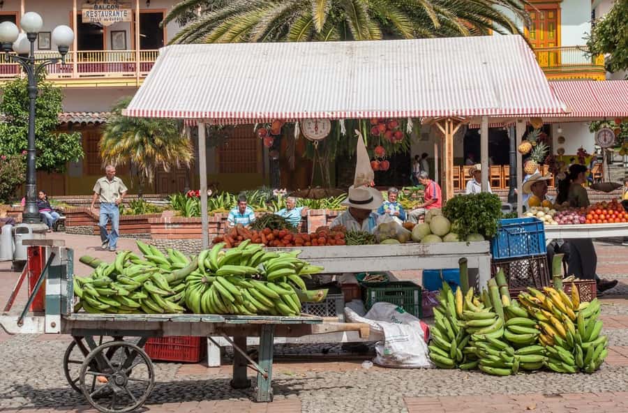 From Medellín: Jericó Full-Day Tour - The Three-Hour Road to the Mountains