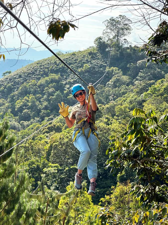 From Medellín: "La Casa en el Aire" (The House in the Air) 1-day tour - Key points to know before you go