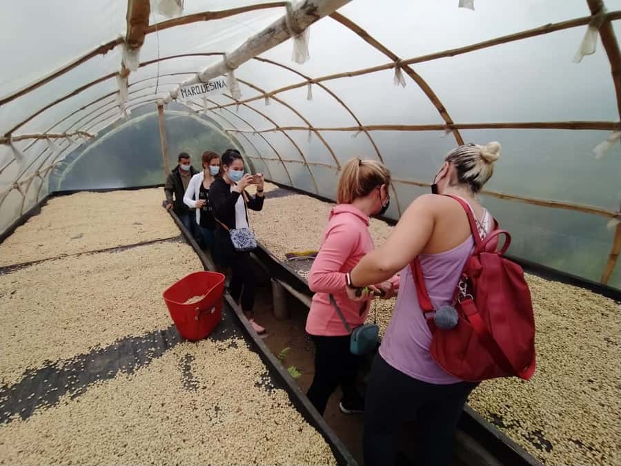 From Medellin: Private Envigado Coffee Tour with Tastings - What happens at the Envigado coffee villa