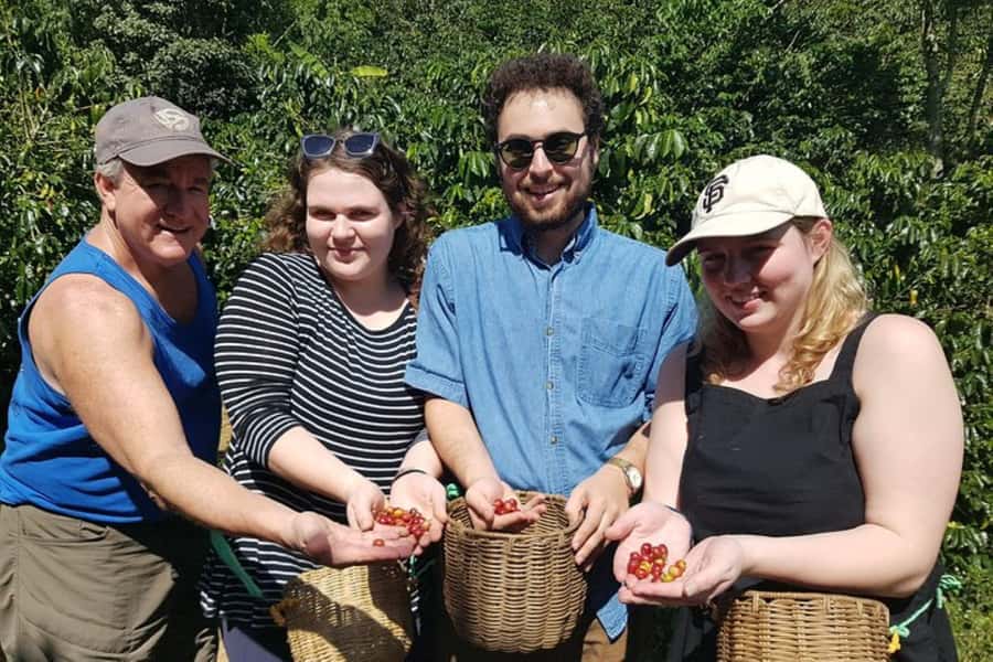 From Medellin: Private Envigado Coffee Tour with Tastings - Is $98 per person a fair value?