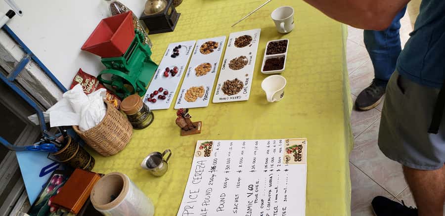 From Medellin: Private Envigado Coffee Tour with Tastings - Who will enjoy this Envigado experience most?
