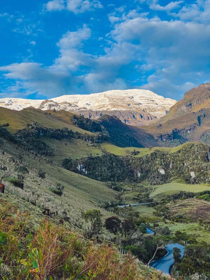 From Pereira: Salento, Cocora and Filandia Tour - What you actually learn in the Coffee Triangle