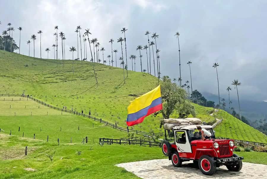 From Pereira: Salento, Cocora and Filandia Tour - Entering Cocora Valley beneath the wax palms