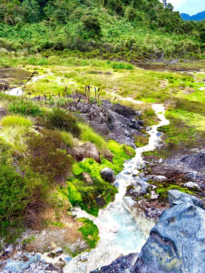 From Popayán: Day Trip to Puracé National Park - Is $175 per person good value?