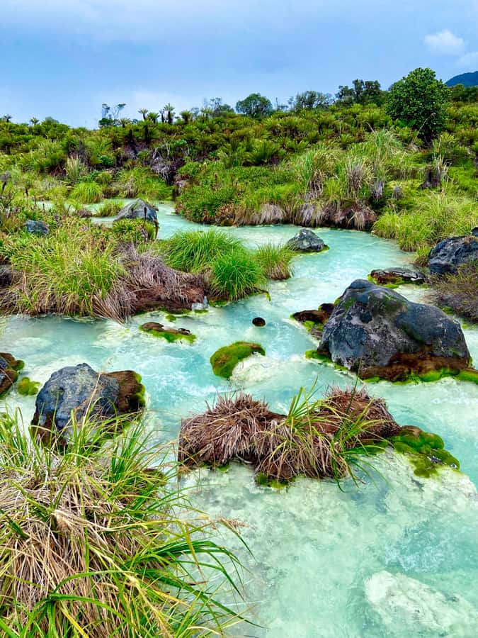 From Popayán: Day Trip to Puracé National Park - Why Puracé makes a good day trip from Popayán