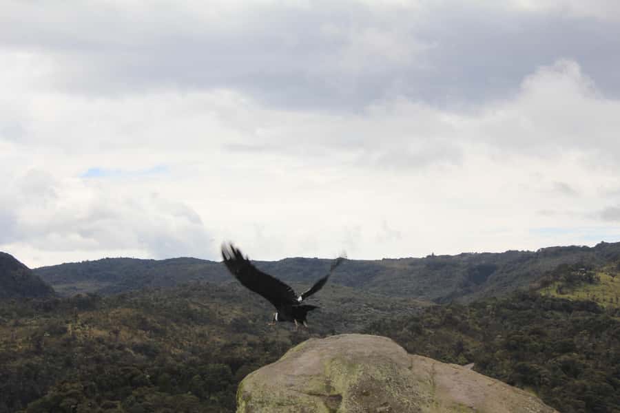 From Popayán: Day Trip to Puracé National Park - Andulbio Lagoon and the first look at the park