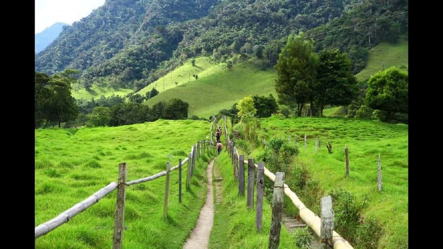 From Salento: Cocora Valley Hiking Tour with Lunch - Key points to know before you go