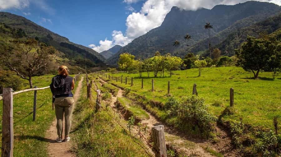 From Salento: Cocora Valley Hiking Tour with Lunch - Starting at Salento’s church at 9:00