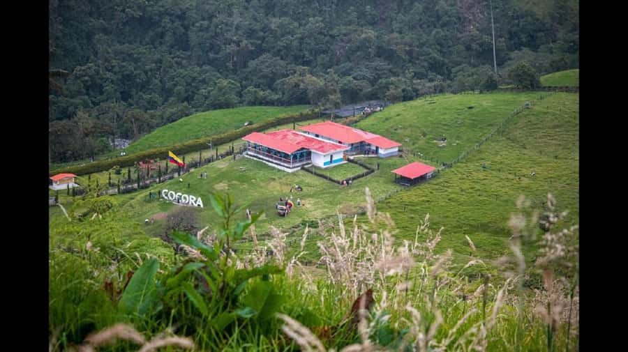 From Salento: Cocora Valley Hiking Tour with Lunch - Three hours among the palms