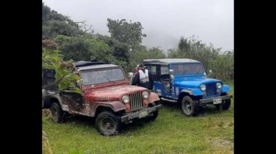 Cocora Valley Hiking Tour with Lunch