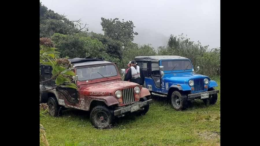 From Salento: Cocora Valley Hiking Tour with Lunch - Why the wax palms matter