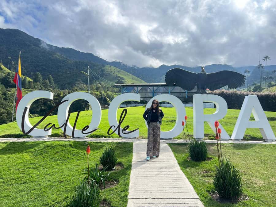 From Salento: Cocora Valley Shared Tour - Entering the valley of giant wax palms