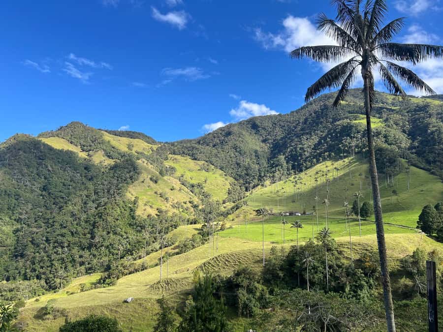 From Salento: Cocora Valley Shared Tour - Is $69 good value?