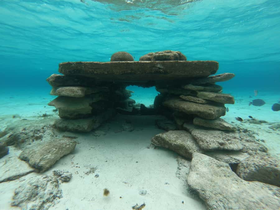 From San Andres: Cayo Acuario Tour - Swimming, snorkeling, and seeing fish