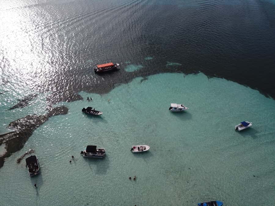 From San Andres: Cayo Acuario Tour - Cancellation and booking flexibility