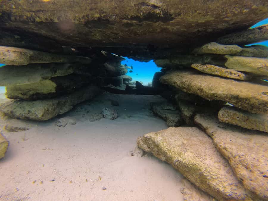 From San Andres: Cayo Acuario Tour - Who should choose this Cayo Acuario trip?