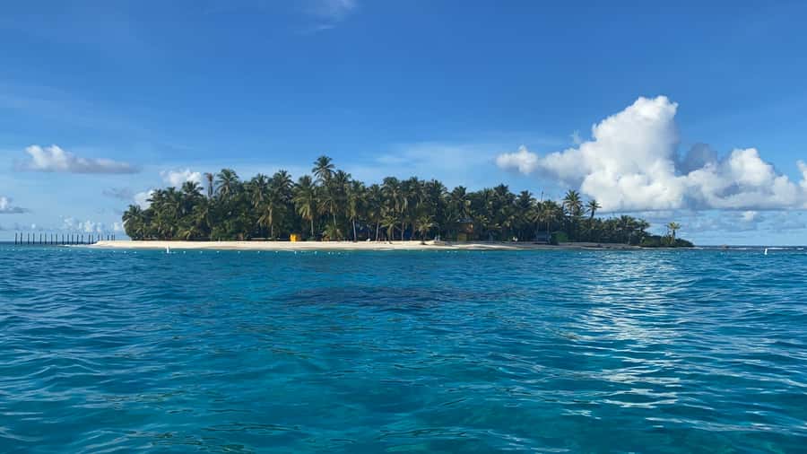 From San Andrés: Speedboat Tour to Johnny Cay Island - Key Things to Know Before You Go