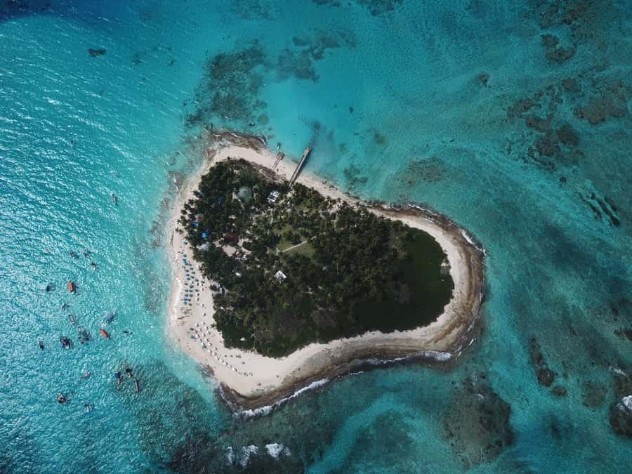 From San Andrés: Speedboat Tour to Johnny Cay Island - Why Johnny Cay Makes a Good Half-Day Escape