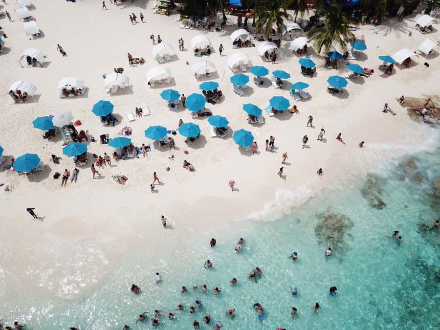 From San Andrés: Speedboat Tour to Johnny Cay Island - Restaurants, Rules, and What You Need to Budget